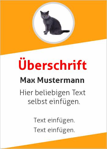 Katze, Schwarz (Tiere)